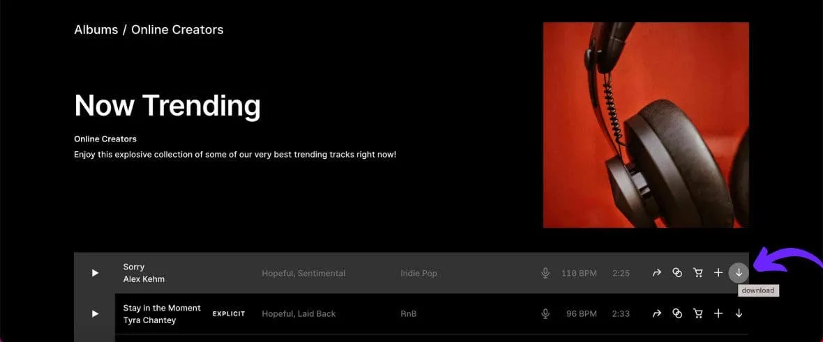 Browsing a subscription royalty-free music library