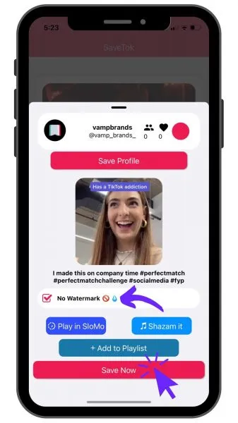 SaveTok processing the TikTok video for a watermark-free save