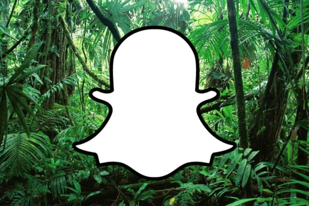 snapchat icon in front of jungle