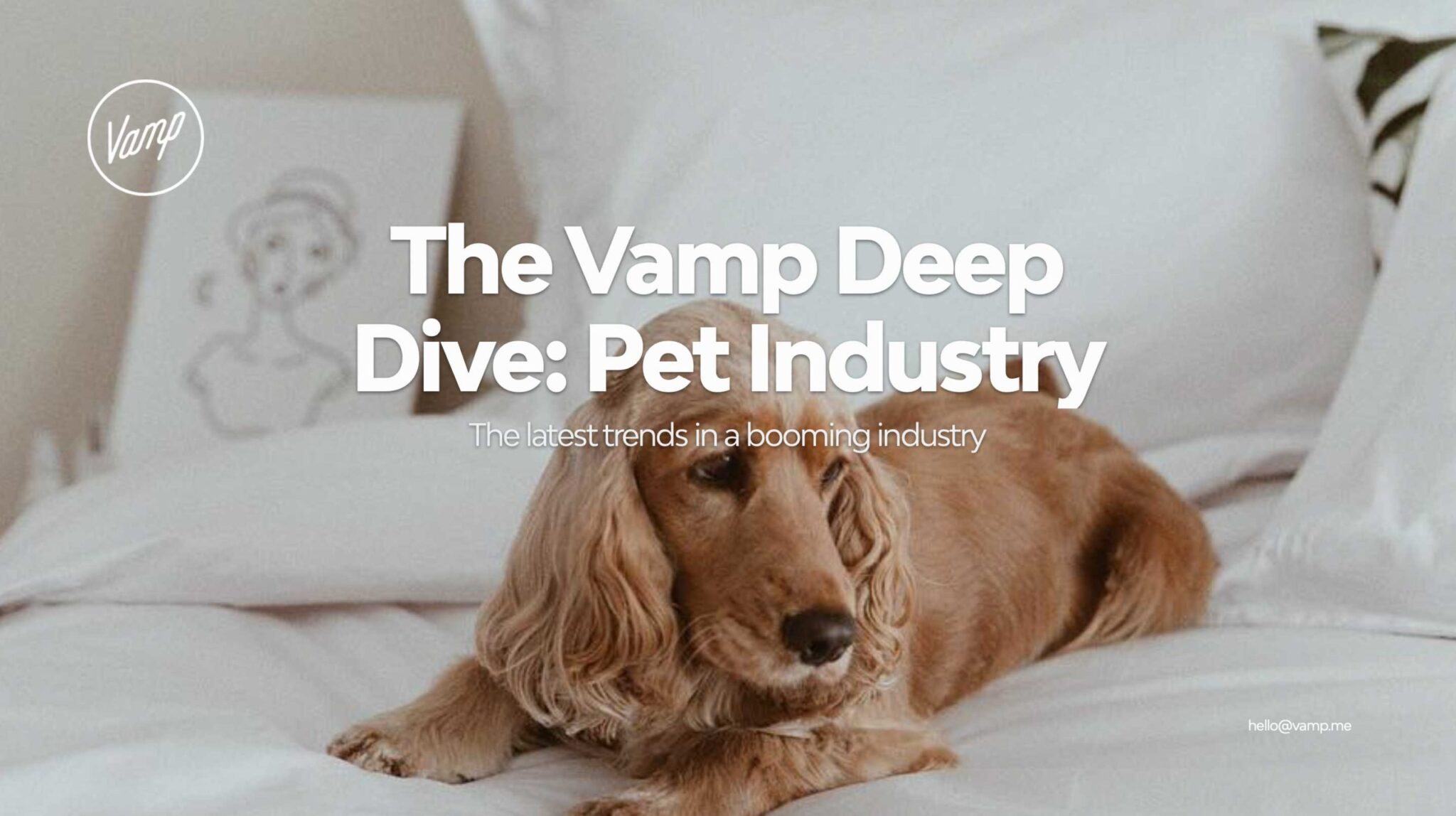 Download Vamp's free Pet Industry Deep Dive report