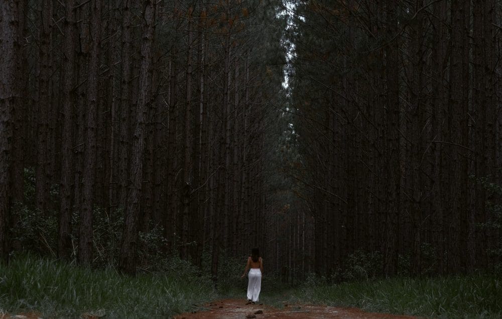 woman walking in forest alekstwo1