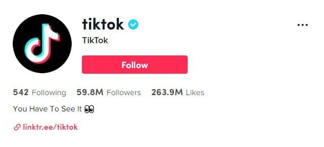 TikTok verified account screenshot